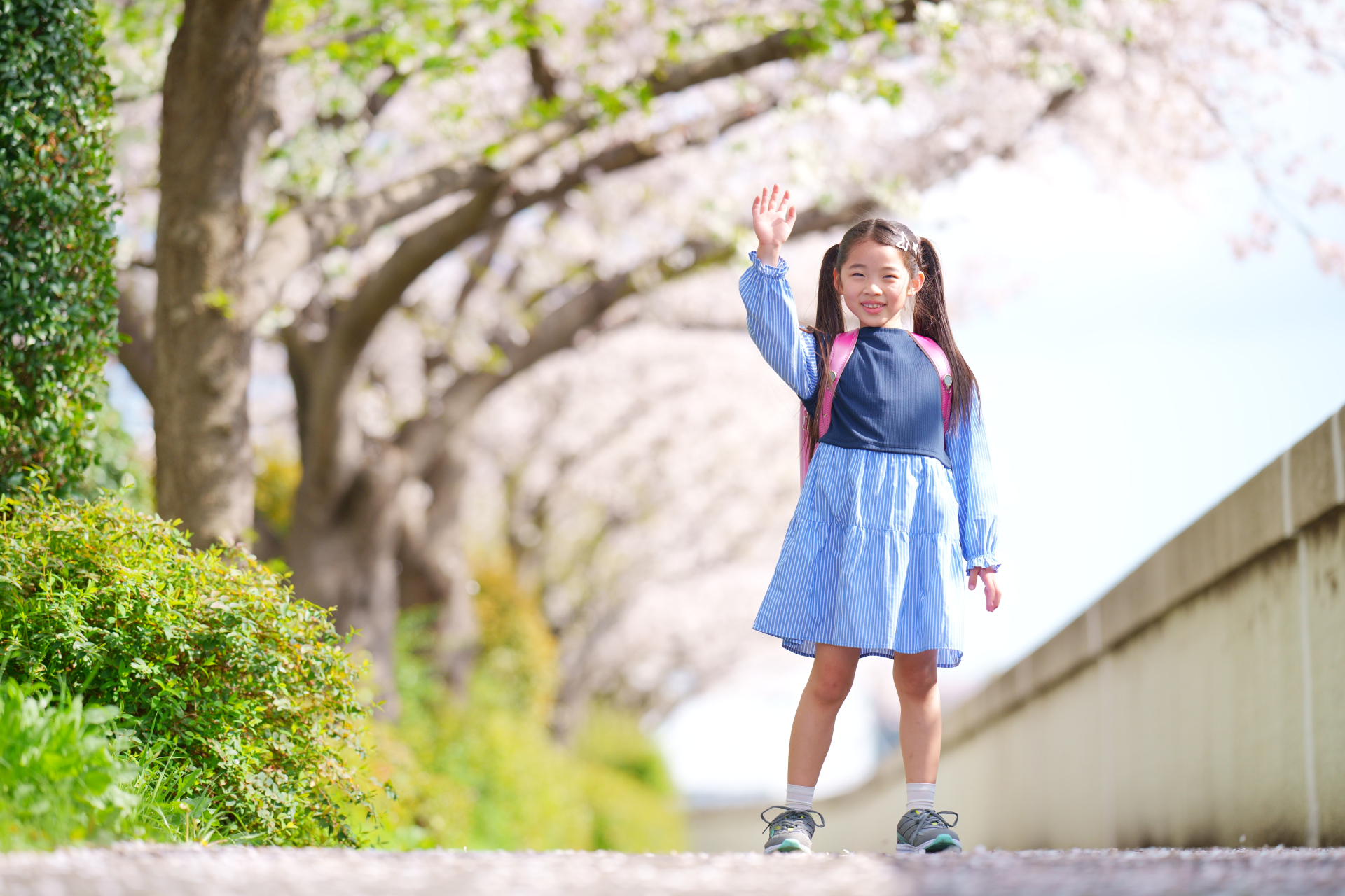 入学・入園祝い